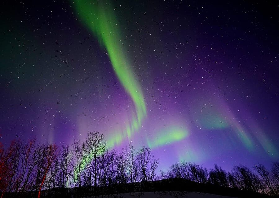 Tromso: Northern Lights Minibus Tour with Campfire - Cross into Finland When Needed: The Passport Tip That Can Save Your Night