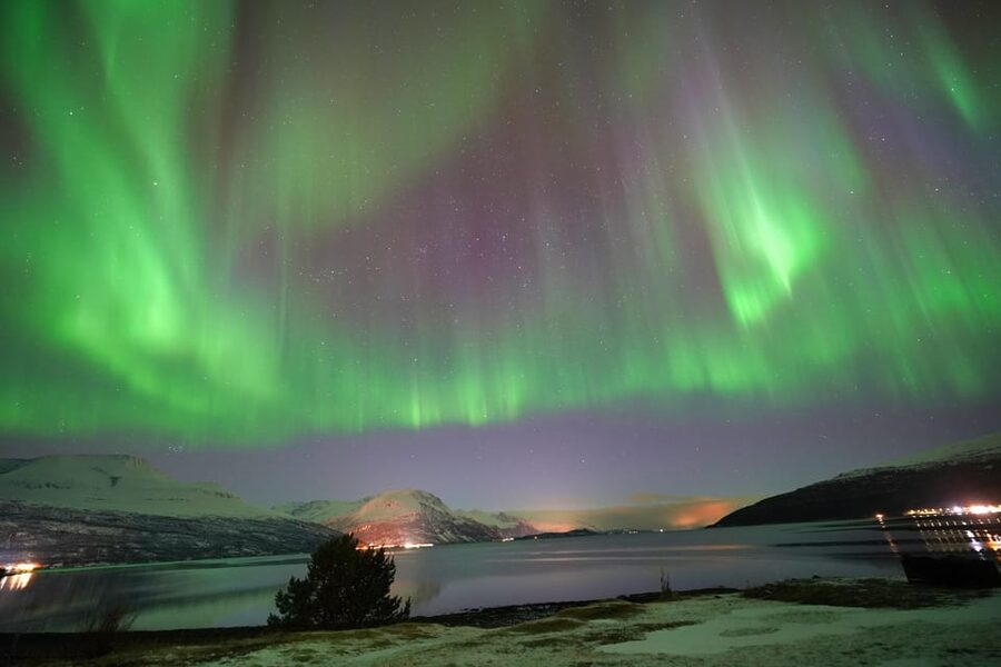 Tromso: Northern Lights Minibus Tour with Campfire - Pickup From Tromsø and the First Part of the Aurora Chase