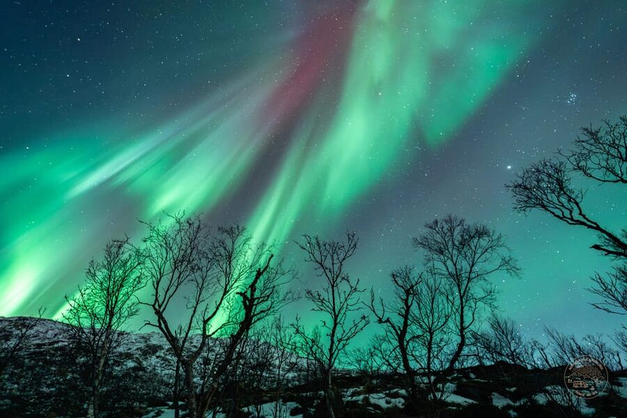 Tromsø: Northern Lights Photography Small-Group Tour - Key Things That Make This Aurora Photo Tour Worth Your Night