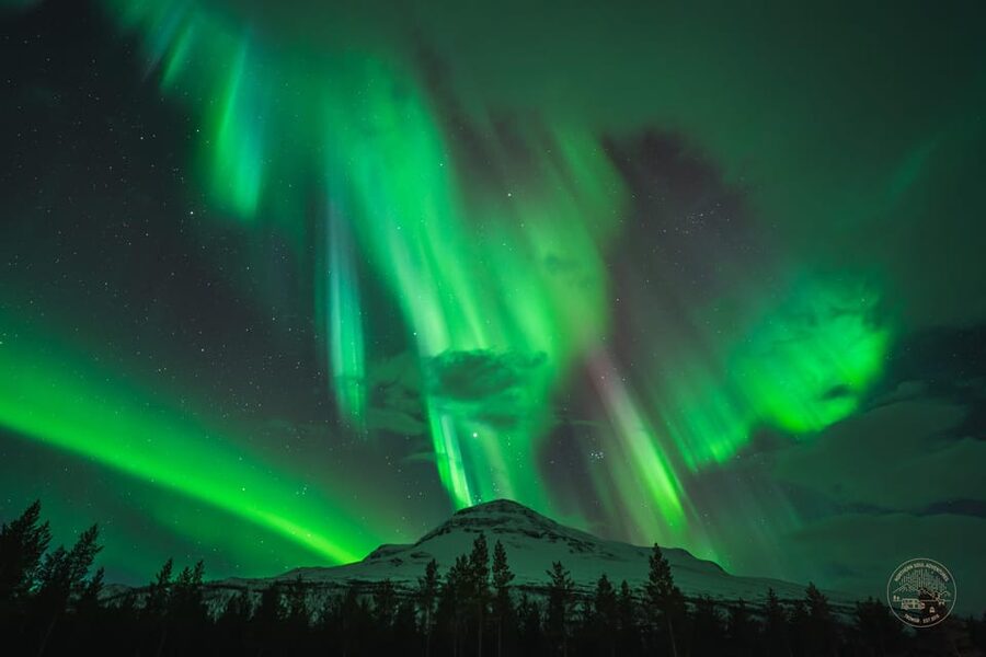 Tromsø: Northern Lights Photography Small-Group Tour - The Small-Group Advantage in a Comfortable 4x4