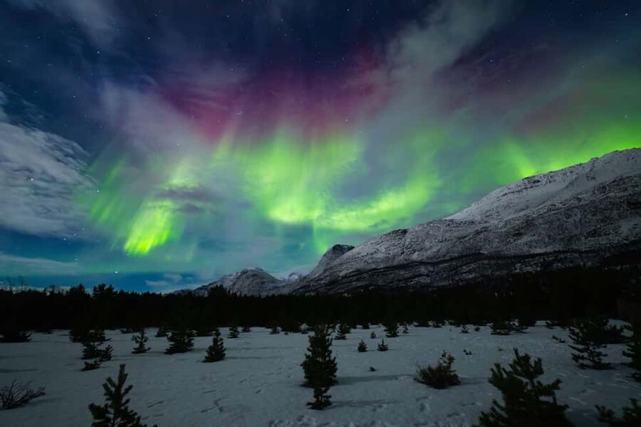 Tromsø: Northern Lights Photography Tour - Small-Group Evenings: What the Guides Do When Conditions Change