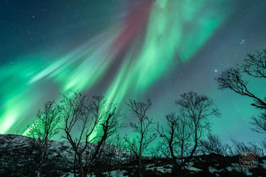 Tromsø: Northern Lights Photography Tour - Price and Value: Is $236 Worth It?