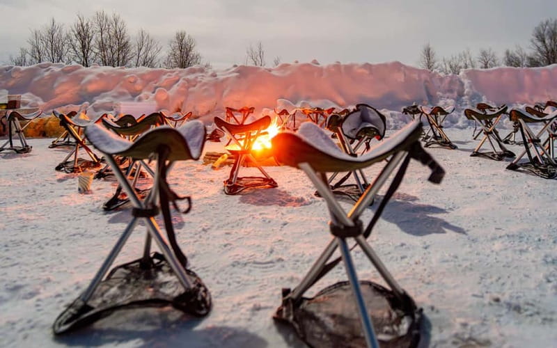 Tromsø: Northern Lights Safari - Key highlights you’ll feel right away