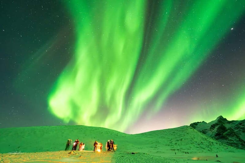 Tromsø: Northern Lights Safari - When the lights show: professional photos without the hassle