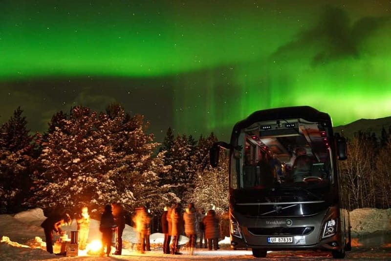 Tromsø: Northern Lights Safari - Free photos and the value of not learning aurora settings at 2 a.m.