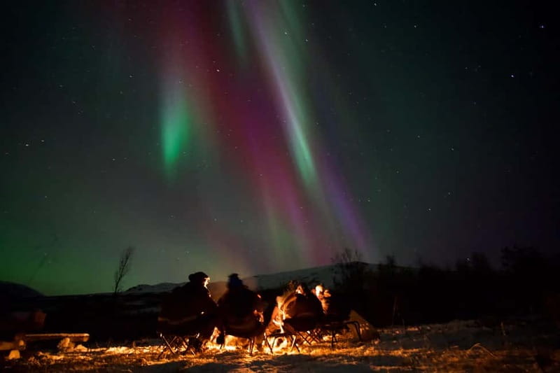 Tromsø: Northern Lights Tour - Quick hits before your Tromsø aurora night