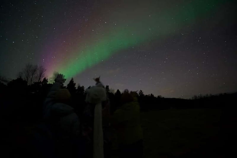 Tromsø: Northern Lights Tour - Bonfire warmth: hot drinks, Norwegian snacks, and a real meal outside