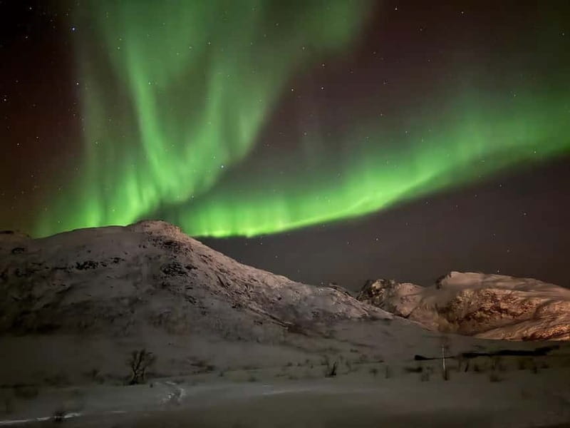 Tromsø: Northern Lights Tour - Things to plan for: toilets, timing, and what to wear
