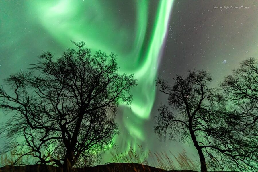 Tromsø: Northern Lights Tour w/Photo, Suits and Local Guide - Practical Limits: The One Thing You Can’t Control