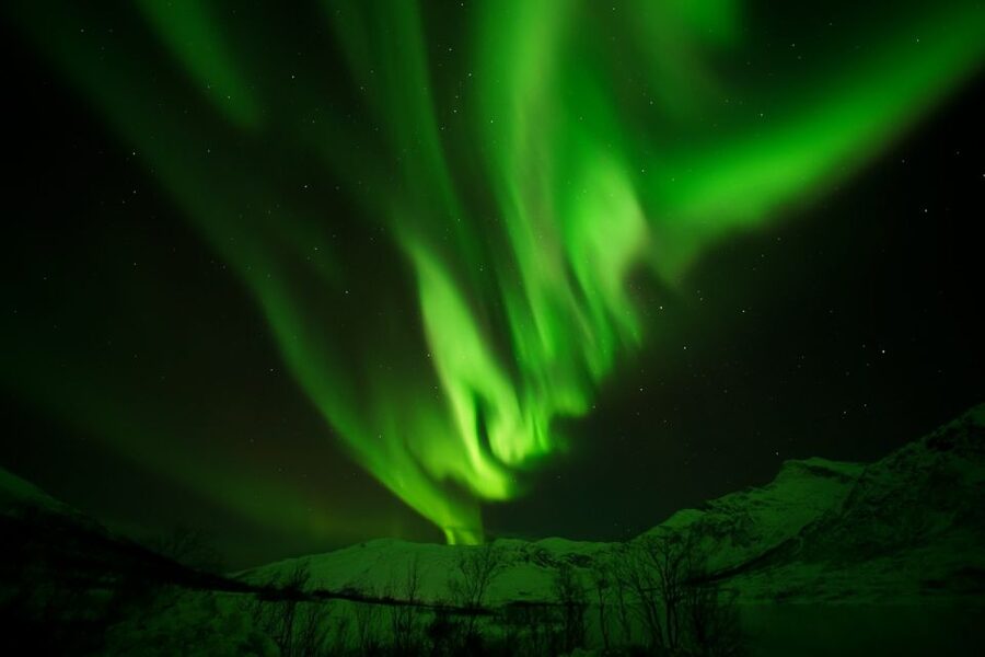 Tromsø: Northern Lights Tour with Free Professional Portrait - Campfire hours: hot drinks, Lefse, and marshmallows in the dark