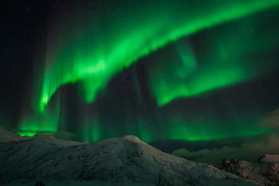 Tromsø: Northern Lights Tour with Guaranteed Sightings - Guides who actually steer the hunt (names you might meet)