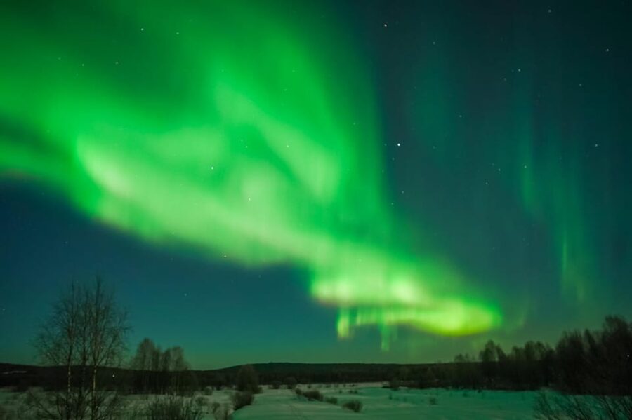 Tromsø: Northern Lights Tour with Guaranteed Sightings - Price check: is $274 worth it for an 8-hour night?