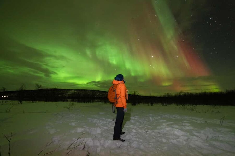 Tromsø: Northern Lights tour with local experts - Why Tromsø feels different on an aurora safari