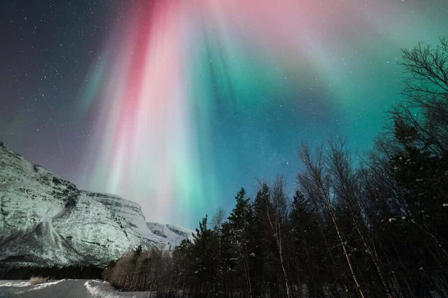 Tromsø: Northern Lights tour with local experts - The campfire break: why it’s more than a snack stop