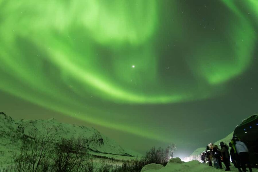 Tromsø: Northern Lights tour with local experts - Professional photography: included for social media, higher-res costs extra