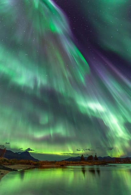 Tromsø: Northern Lights Tour with Local Guide and Photos - Tromsø After Dark: What Makes This Tour Different