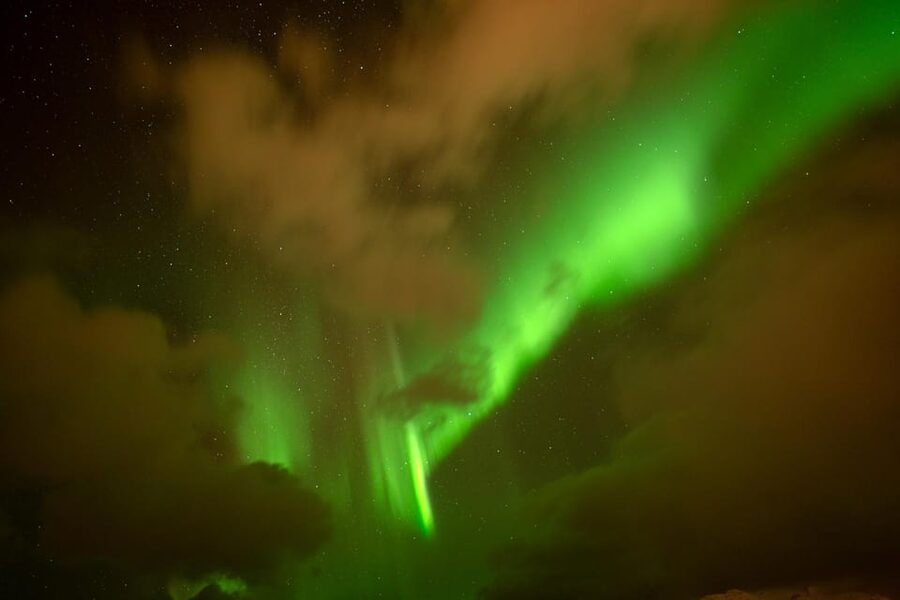 Tromsø: Northern Lights Tour with Local Guide and Photos - Food and Warmth: Hot Drinks, Brunost, and Homemade Cake