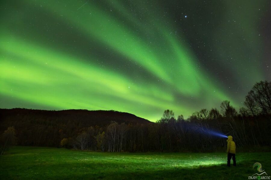 Tromsø: Northern Lights Trip with Campfire and Snacks - Campfire warmth, hot drinks, and crispbread: the wait becomes part of the fun