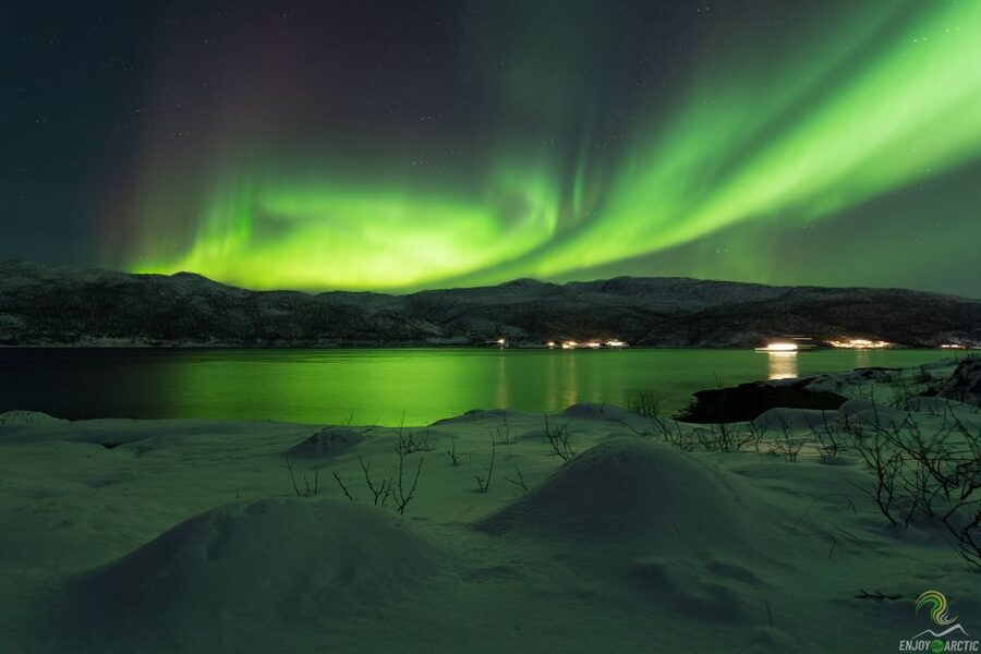 Tromsø: Northern Lights Trip with Campfire and Snacks - Spotting and chasing: how guides like Andrei and Alan raise your odds