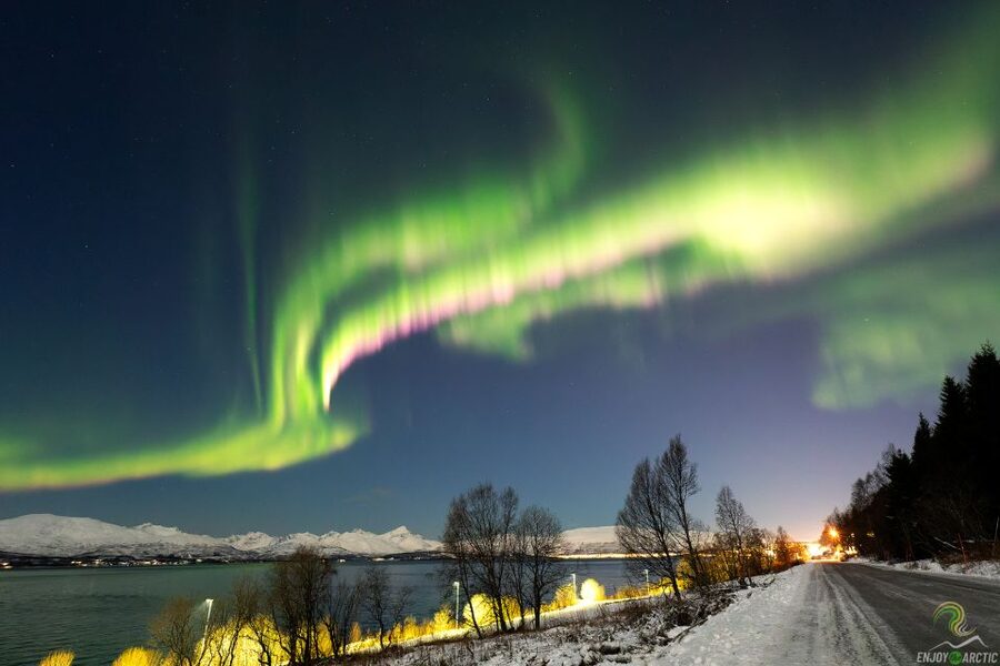 Tromsø: Northern Lights Trip with Campfire and Snacks - The full rhythm of the evening: what happens, in order