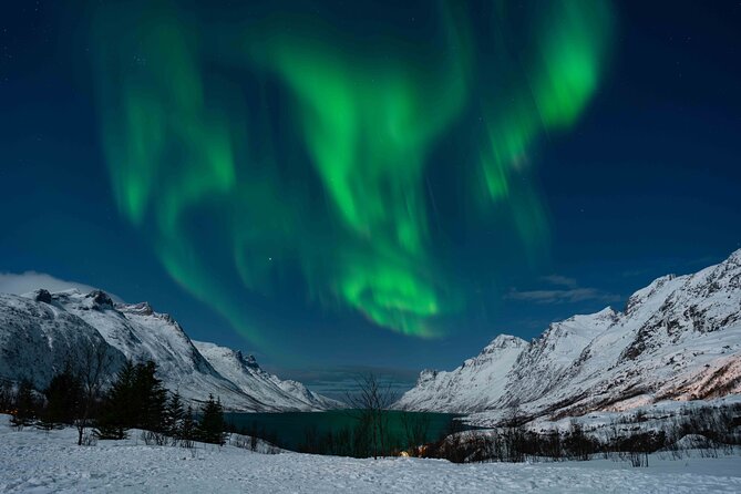 Tromsø Northern Lights with Campfire and Professional Photos - Key highlights you’ll feel right away