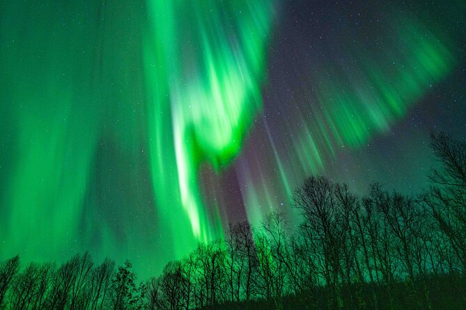 Tromsø Northern Lights with Campfire and Professional Photos - Stop 1: Tromsø, and why the “moving around” part matters