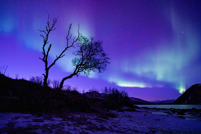 Tromsø Northern Lights with Campfire and Professional Photos - Winter comfort kit: thermo suit, spikes, and hand warmers