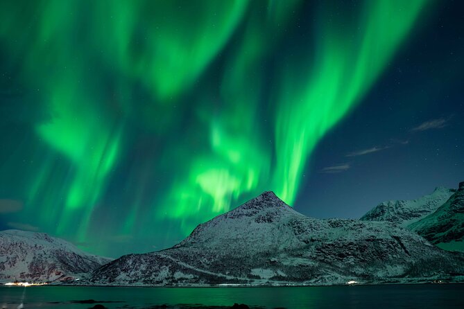 Tromsø Northern Lights with Campfire and Professional Photos - Food and fire: chai tea, reindeer sausages, and bonfire time
