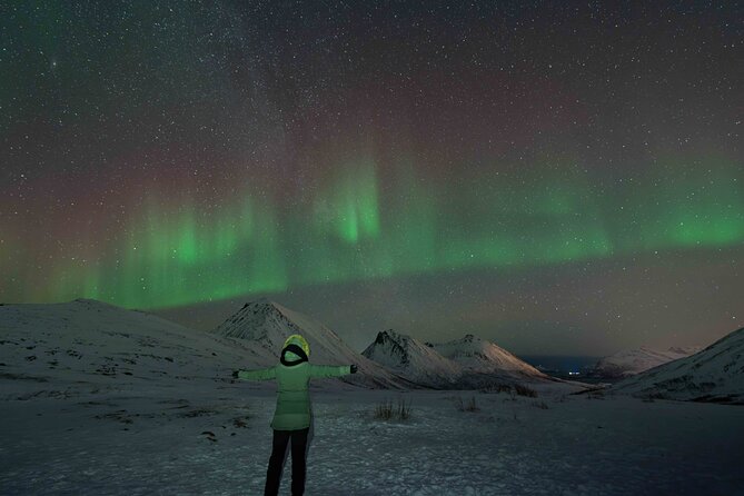 Tromsø Northern Lights with Campfire and Professional Photos - Professional photos: what you get and what weather can affect