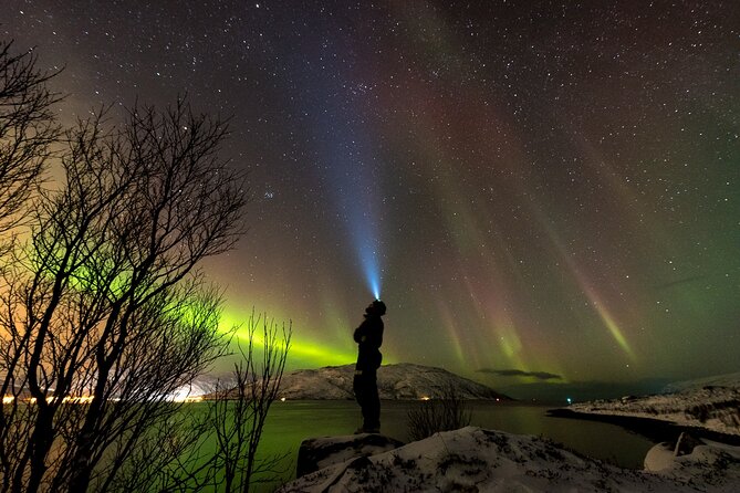 Tromsø Norway - Small Group Aurora Hunt Tour with a local guide - Key things that make this aurora hunt work