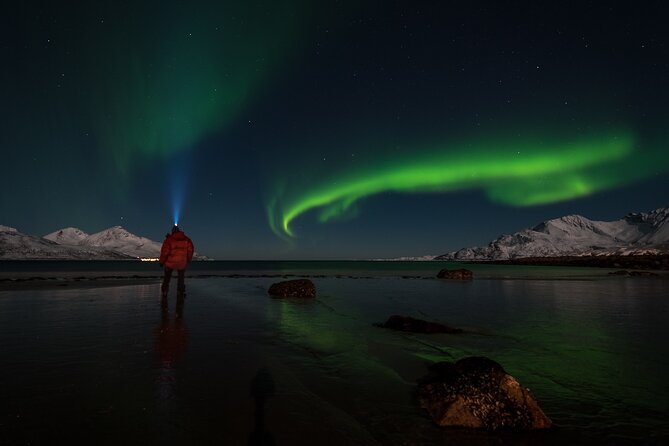 Tromsø Norway - Small Group Aurora Hunt Tour with a local guide - Starting 7pm in downtown Tromsø, with the lights overhead