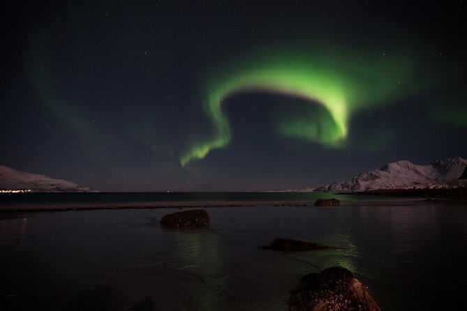 Tromsø Norway - Small Group Aurora Hunt Tour with a local guide - Group size, safety, and why this feels more personal than you’d expect