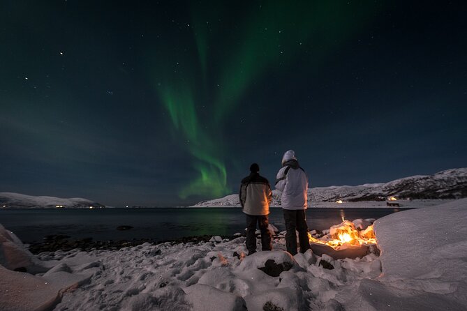 Tromsø Norway - Small Group Aurora Hunt Tour with a local guide - The seaside strategy: warmer water, frozen skies, real aurora energy