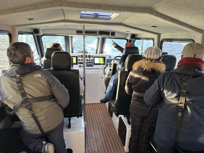 Tromsø: Orca and Whale Watching comfort heated boat Trip - Orca Safari in Comfort: The Skjervøy Angle That Makes It Worth the Day