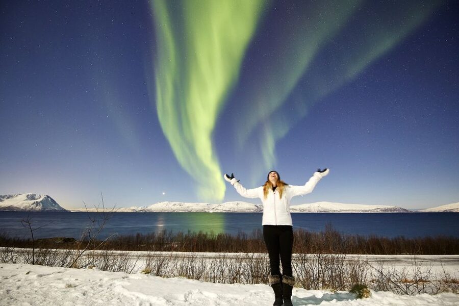 Tromsø: Private 6-Hour Aurora Chase by Minivan - Private minivan at 19:00: the night chase starts fast