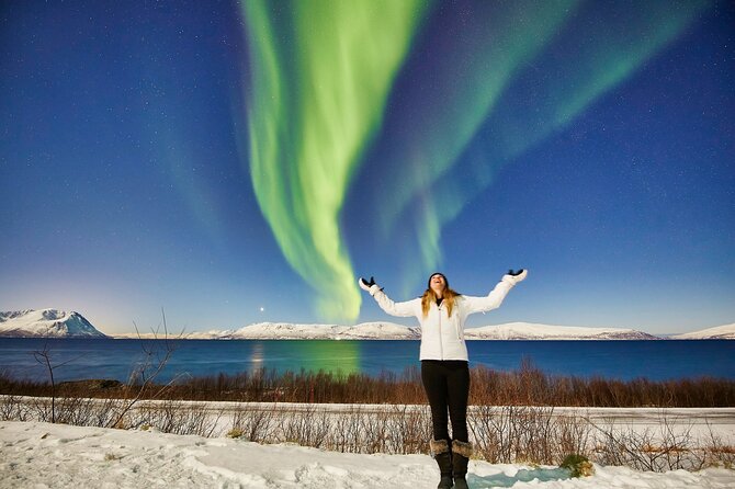 Tromso: Private Aurora Chase by Minivan - Key Things You’ll Notice on This Tromsø Aurora Chase