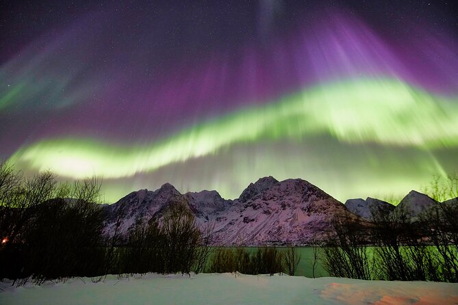 Tromso: Private Aurora Chase by Minivan - Tromsø Fjords at Night: Why a Minivan Chase Works