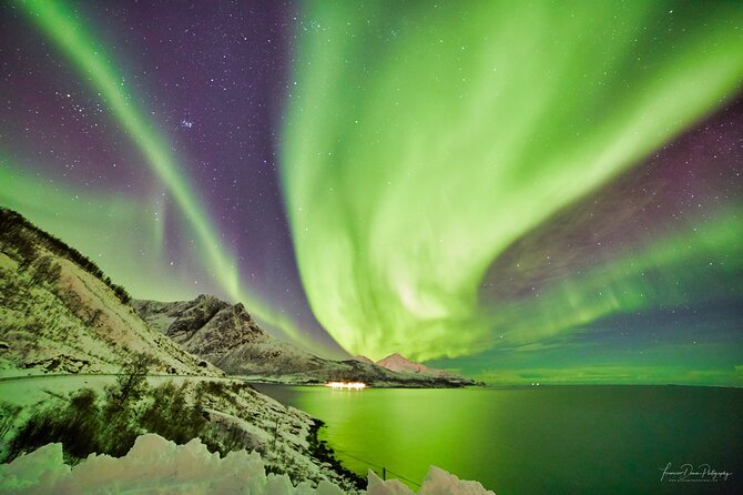 Tromso: Private Aurora Chase by Minivan - Photography Help: Tripods, Settings, and Better Compositions