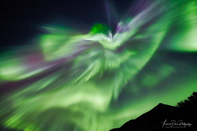 Tromso: Private Aurora Chase by Minivan - Price and Value: Is This Expensive or Just Focused?