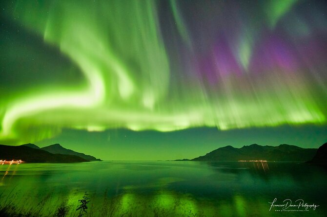 Tromso: Private Aurora Chase by Minivan - Logistics That Matter in the Dark: What You Should Know Before You Go