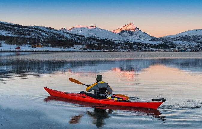 Tromso: Private Aurora Chase by Minivan - Timing, Duration, and What Your Evening Actually Feels Like