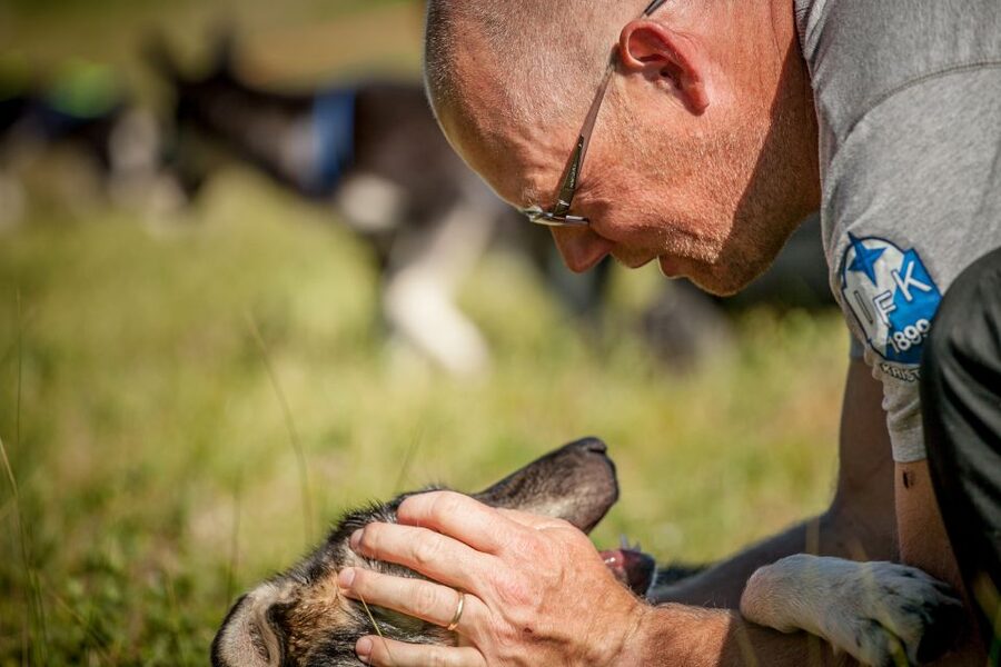 Tromsø: Puppy Training at the Husky Kennel with Lunch - Key highlights to know before you go