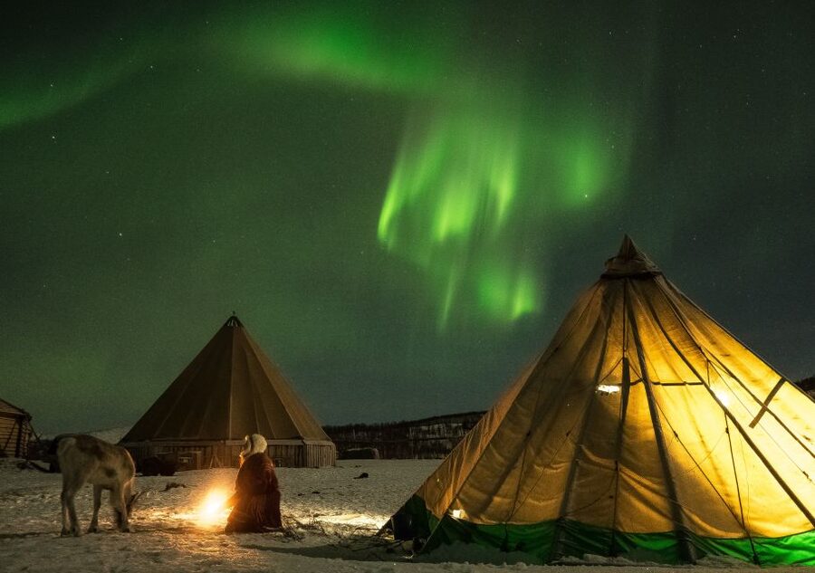 Tromsø: Reindeer Camp Dinner with Chance of Northern Lights - Key points at a glance