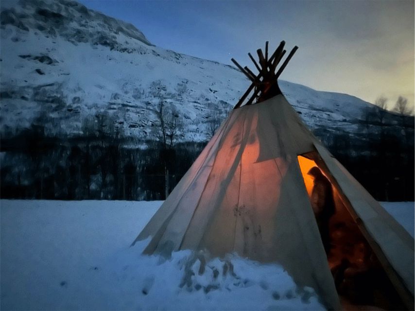 Tromsø: Reindeer Experience at a Sami Camp - Key things to know before you go