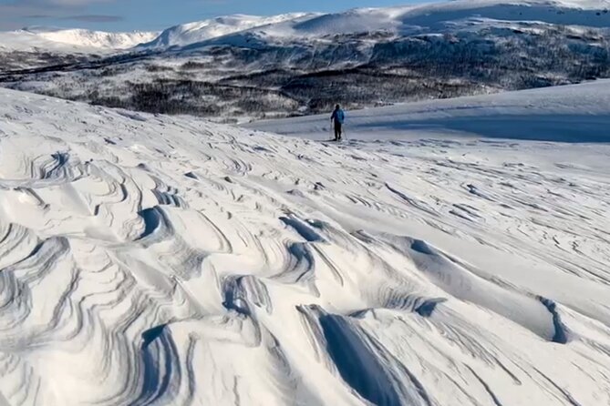Tromso: Reindeer Feeding and Snowshoeing Tour with Lunch - Key highlights at a glance