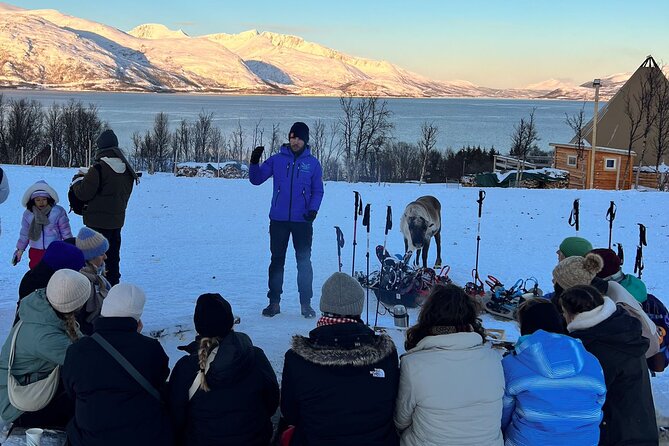 Tromso: Reindeer Feeding and Snowshoeing Tour with Lunch - Tromsø’s reindeer + snowshoe combo that stays hands-on