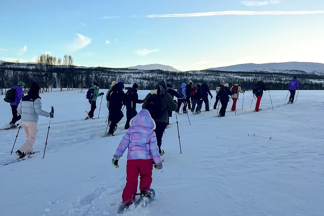 Tromso: Reindeer Feeding and Snowshoeing Tour with Lunch - Reindeer farm time: feeding the herd at a calm, controlled pace