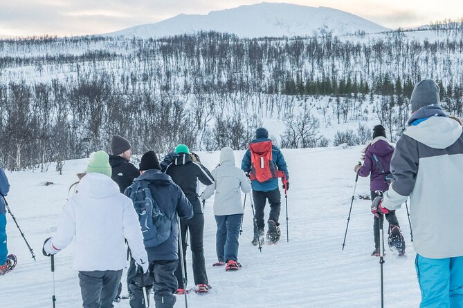 Tromso: Reindeer Feeding and Snowshoeing Tour with Lunch - Lunch in a gamme: warm food, warm shelter, and dietary options