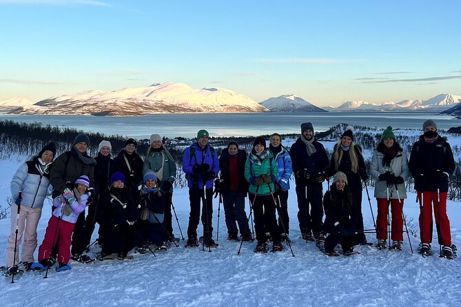 Tromso: Reindeer Feeding and Snowshoeing Tour with Lunch - Getting there by bus: the schedule is built for your day