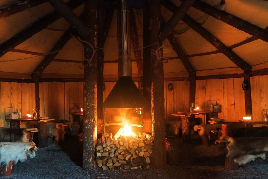 Tromsø: Reindeer Sled, Dinner, and Chance of Northern Lights - Key points